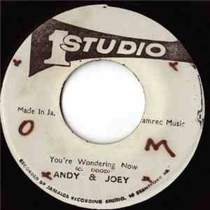 Andy & Joey - You're Wondering Now download free