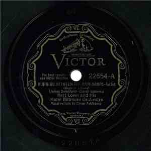 Bert Lown And His Hotel Biltmore Orchestra - Running Between The Rain Drops / When I Take My Sugar To Tea download free