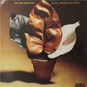 Big Bill Broonzy - Black, Brown And White download free
