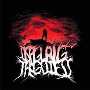 Disfiguring The Goddess - Démo 2007 - I download free