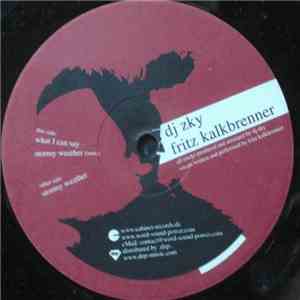 DJ Zky . Fritz Kalkbrenner - Stormy Weather download free