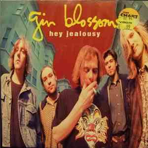 Gin Blossoms - Hey Jealousy download free