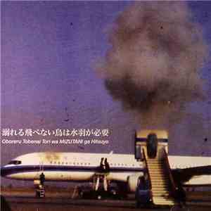 Hadaka No Rallizes - 溺れる飛べない鳥は水羽が必要 (Yodo-Go-A-Go-Go) download free