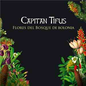 La Fanfarria Del Capitán - Flores Del Bosque De Bolonia download free