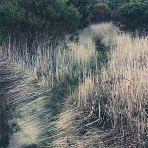 Mirrors  - Hidden Landscape download free