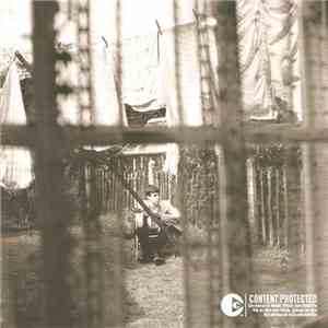 Paul McCartney - Chaos And Creation In The Backyard download free