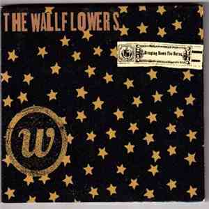 The Wallflowers - Bringing Down The Horse download free