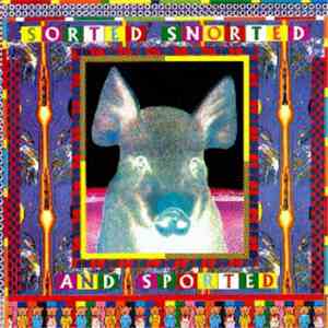 Various - Sorted, Snorted And Sported download free