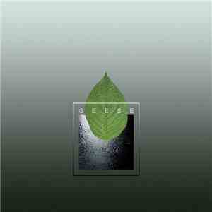 Vektordrum - Geese download free