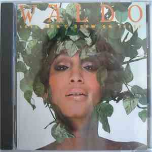 Waldo  - Love Don't Grow On Trees download free