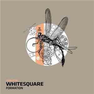 Whitesquare - Formation download free